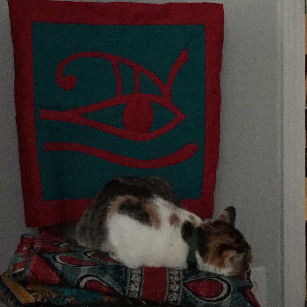 Meet your Posher, Debra